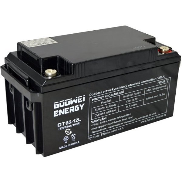 Baterie GOOWEI ENERGY OTL65-12